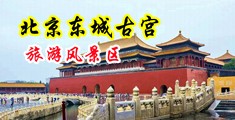 老熟逼HD中国北京-东城古宫旅游风景区
